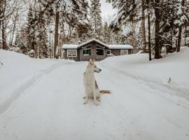 Dog friendly Muskoka. Fun from forest to river.，位于亨茨维尔的酒店