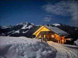 Mountain Chalet - Panoramic Terraces - Near Gstaad，位于Devant的木屋