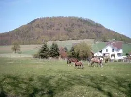 MW Ferienwohnung Höxter Weserbergland an der Weser