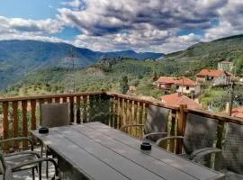 Каменната къща