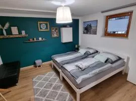 Ruhige, modern eingerichtete 2 Zimmer Wohnung im Untergeschoss eines Zweifamilienhauses