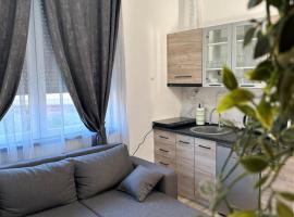 Apartmani M.&.B Luks，位于Mataruška Banja的酒店