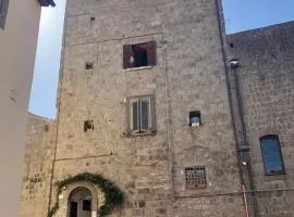 Torre degli Alessandri
