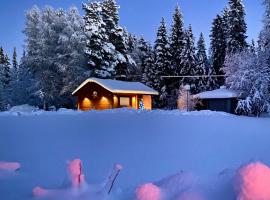 Lapin Paradise，位于罗瓦涅米的木屋