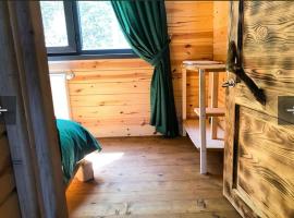 hostel viking，位于里泽的酒店