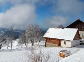 Grunt Sonek，位于Mislinja的酒店