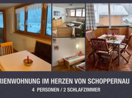 Ferienwohnung Schoppernau，位于施科佩尔瑙的公寓