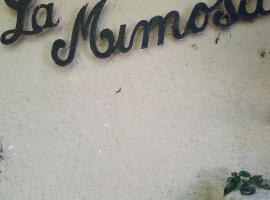 Chalet La Mimosa，位于阿肖海的酒店