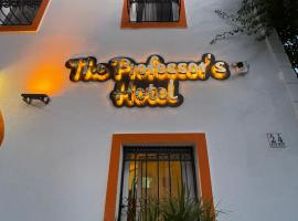 The Professor's Hotel，位于博德鲁姆的酒店