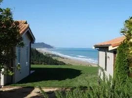Ocean Beach Residence