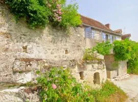 Gîte tout confort avec grand jardin, terrasse ombragée, animaux acceptés, proche de Loches - FR-1-381-560