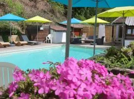 Villa Rosa Trois Epis