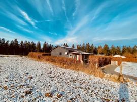 Au Chalet du Lac，位于比林根的酒店