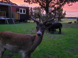 B&B 't Maartensdijkse Bos，位于Maartensdijk的住宿加早餐旅馆