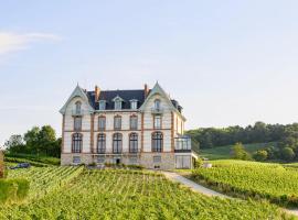 Chateau de Sacy，位于Sacy的浪漫度假酒店