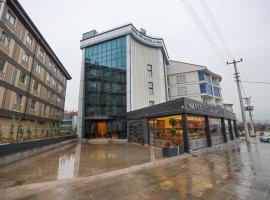 Silver Inn Spa，位于Kasaplar的酒店