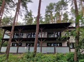 Apartament Sosny 2,2 nad jeziorem OTW Borówno Wielkie