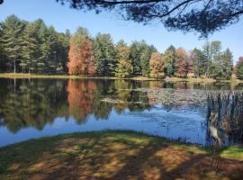 Paper Mill Pines Bed and Breakfast，位于Shickshinny的住宿加早餐旅馆