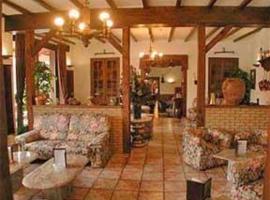 Logis Auberge D'alsace Et Hotel De France，位于布永的酒店
