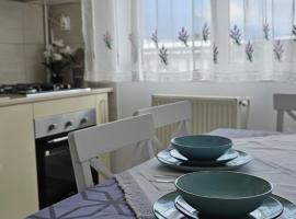 Apartament Ultracentral - Retreat -，位于Lupeni的酒店