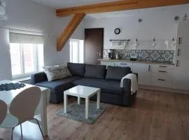 Apartament nad morzem BALTICA