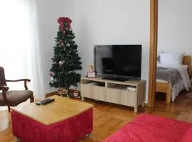 Apartman Božić