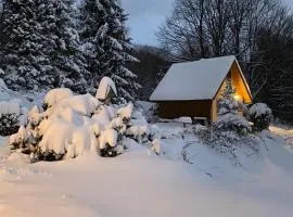 Domek górski na Polanie Goryczkowej 700 m npm - Szczyrk dojazd samochodem terenowym, w zimie utrudniony - wymagane łańcuchy