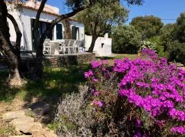 Maison de pêcheur superbe vue mer, grand jardin