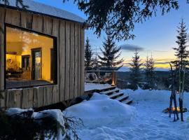 Forest cabin with stunning mountain view & Sauna，位于图什比的木屋