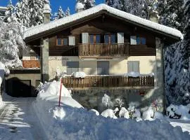 APPARTEMENT DE CHARME EN ATTIQUE dans UN PETIT CHALET