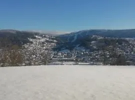 Les Dryades L'Epicéa