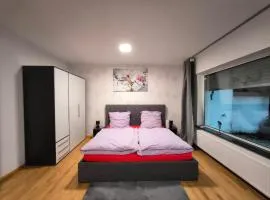 Haus am ruhige Lage in Langscheid Nähe sorpesee
