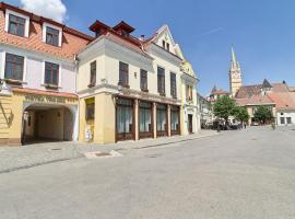 特劳伯酒店，位于梅迪亚什的酒店