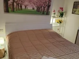 VALTELLINA SONDRIO HOLIDAYS