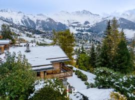 L'Alouvy Winter Dream Chalet for Family at Verbier，位于韦尔比耶的酒店