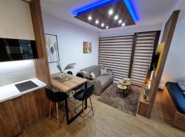 Luxury Apartment Borovi 2，位于迪瓦伊巴雷的酒店