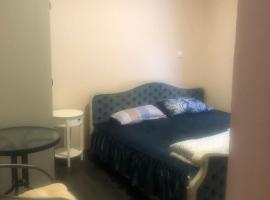 Julie's Hostel Double queen room in Sremski karlovice，位于斯雷姆斯基卡尔洛夫奇的酒店