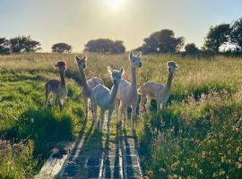 Glamping Huts x 3 and a Static Caravan available each with a Private Hot Tub, FirePit, BBQ and are located in a Peaceful setting with Alpacas and gorgeous countryside views on Anglesey, North Wales，位于阿姆奇的带按摩浴缸的酒店