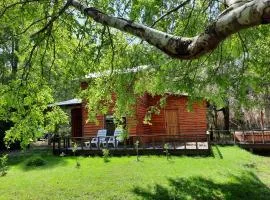 CABAÑA EN EL BOSQUE - DOMOS CONGUILLIO