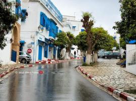 Beautiful studio in the center of sidi bou said village，位于西迪·布·赛义德的酒店