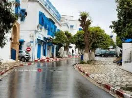 Beautiful studio in the center of sidi bou said village