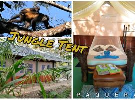 Fully Furnished FAMILY JUNGLE TENT, Latino Glamping Paquera，位于帕克拉的酒店