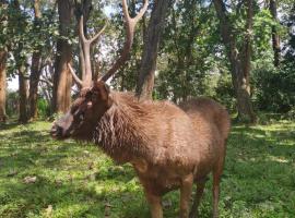 Wild Window - Forest View Homestay，位于提喀迪的酒店