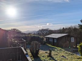 Snowdonia Log cabin，位于特兹西尼德的酒店