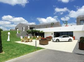 Hotel Thierry Drapeau，位于Saint-Sulpice-le-Verdon的酒店