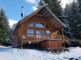 Mountain View Cabin, Hot Tub at White Pass, Mt Rainier，位于帕克伍德的酒店