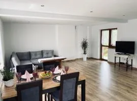 Apartament w Budzowie