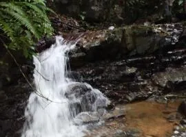 Finca Makambu