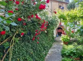 Bosnien Old House