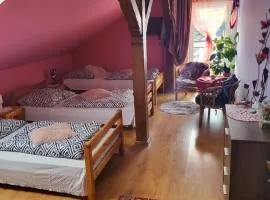 Agroturystyka Świerki